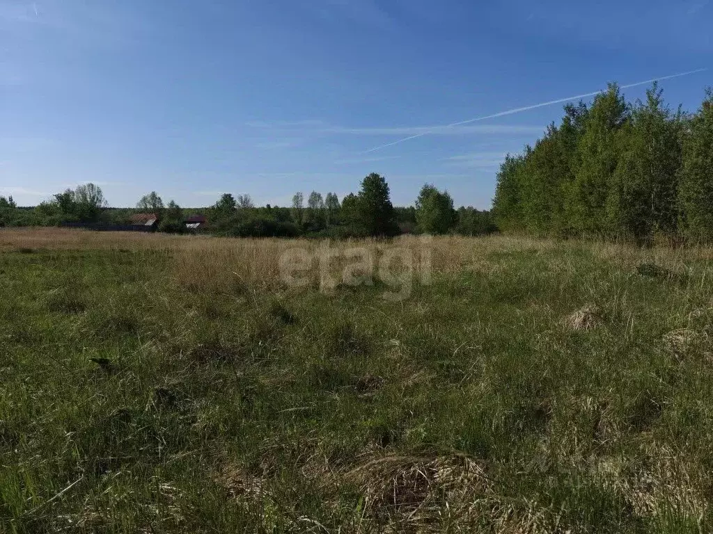 Участок в Владимирская область, Меленковский муниципальный округ, д. ... - Фото 2