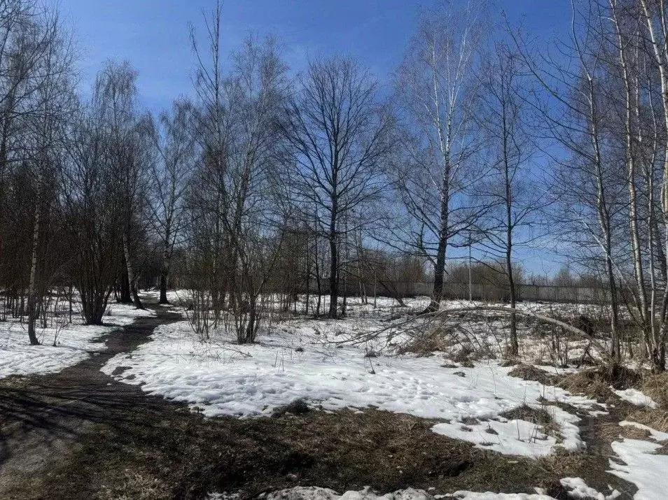 Участок в Московская область, Серпухов городской округ, пос. ... - Фото 0