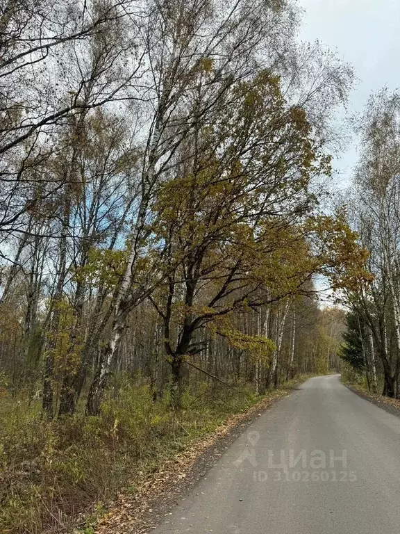 Участок в Московская область, Чехов городской округ, д. Репниково  ... - Фото 0