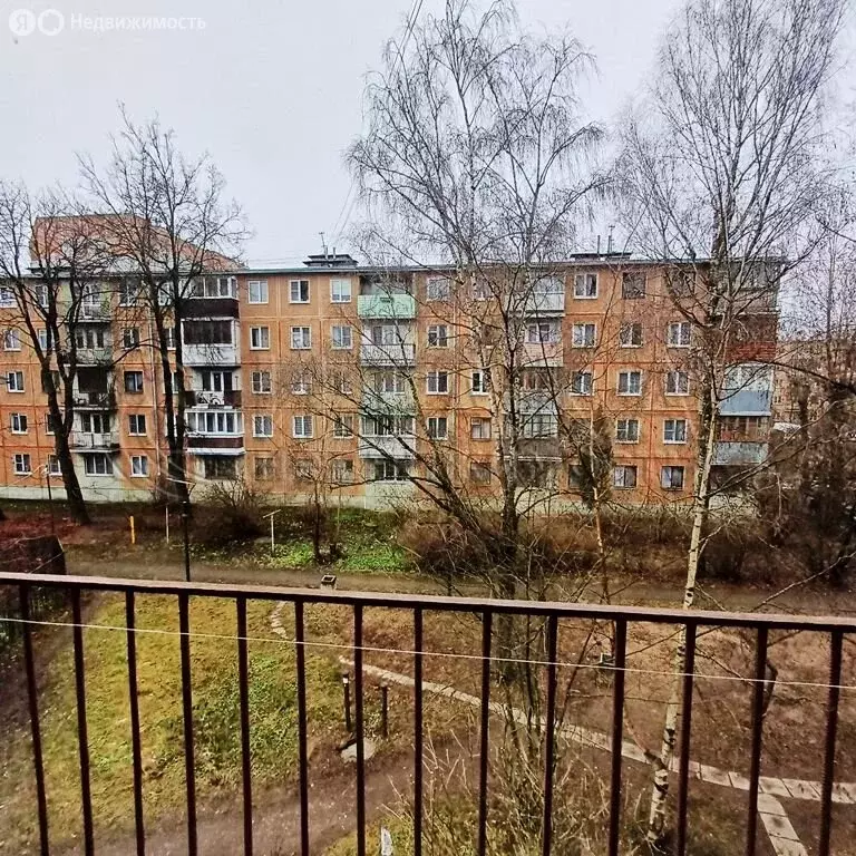 1-комнатная квартира: Псков, улица Яна Фабрициуса, 17 (30.4 м) - Фото 2