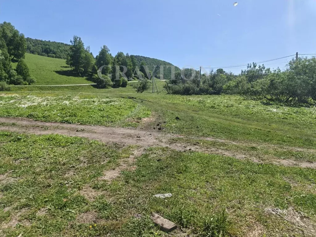 Участок в Алтай, Майминский район, с. Бирюля ул. Молодежная (6.5 сот.) - Фото 2