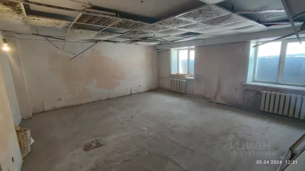 Помещение свободного назначения в Новосибирская область, Новосибирск ... - Фото 1