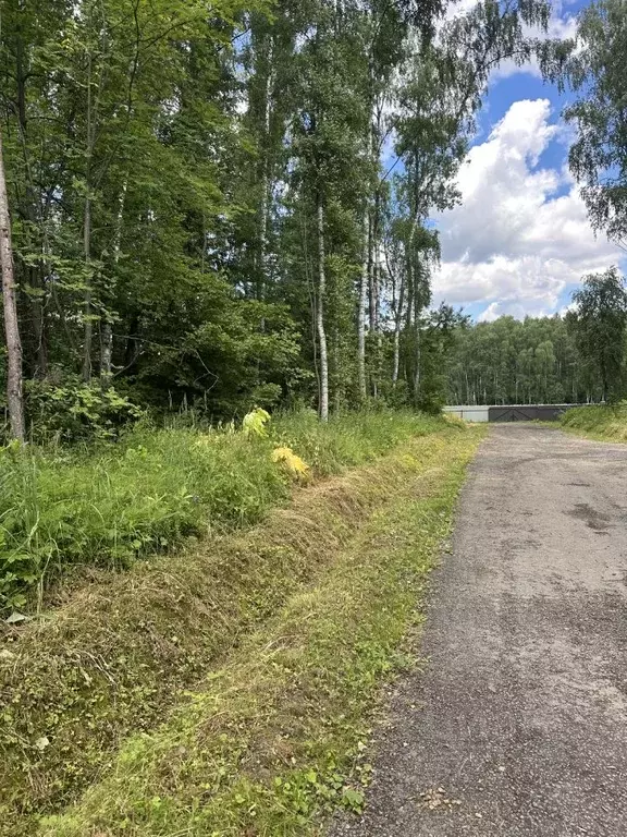 Участок в Московская область, Домодедово КП Данилово Парк тер., 327 ... - Фото 2