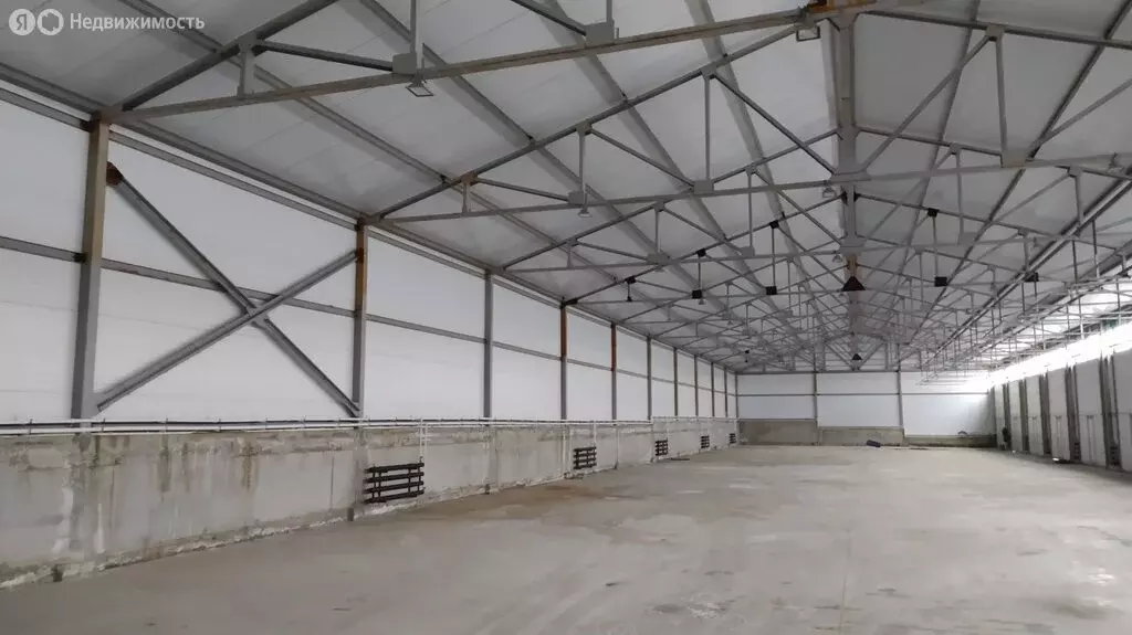Склад (1450 м) - Фото 2