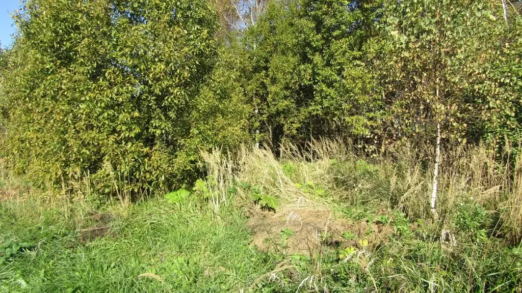 Участок в Московская область, Рузский муниципальный округ, д. Неверово ... - Фото 1