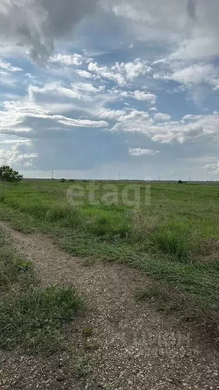 Участок в Амурская область, Благовещенский район, с. Ровное  (850.0 ... - Фото 1