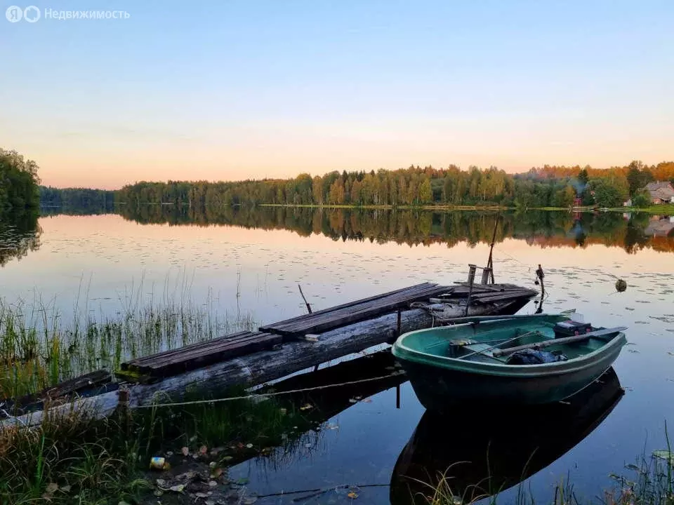 Участок в Олонецкий район, Коверское сельское поселение, деревня ... - Фото 2