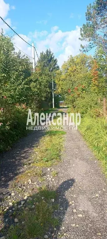Участок в Ленинградская область, Кировский район, Мгинское городское ... - Фото 2