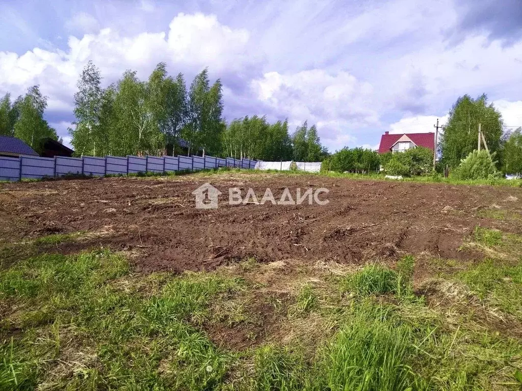 Участок в Нижегородская область, Богородский муниципальный округ, ... - Фото 1