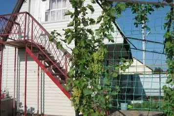 Дом в Оренбургская область, Соль-Илецк ул. Пушкина, 81 (20 м) - Фото 1