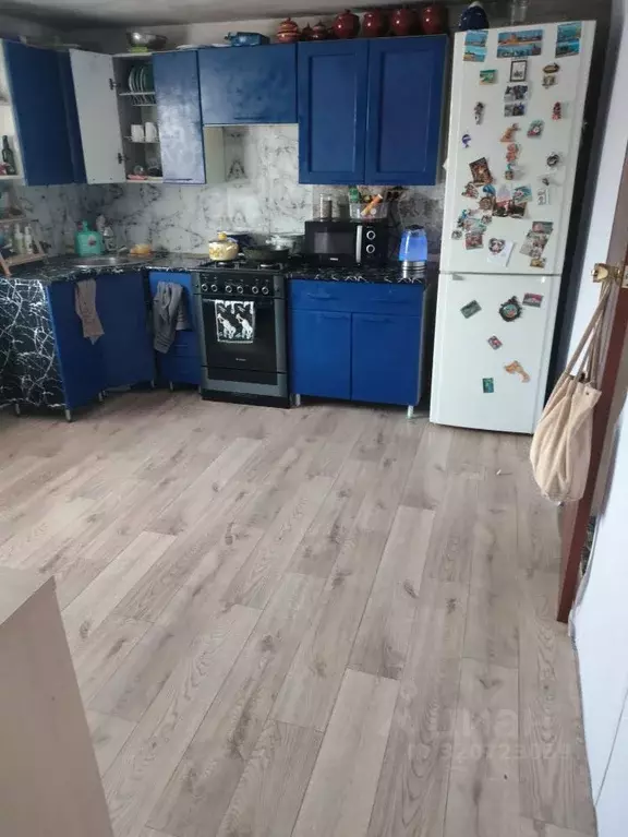 Дом в Тамбовская область, Мичуринск Октябрьская ул., 78 (100 м) - Фото 2