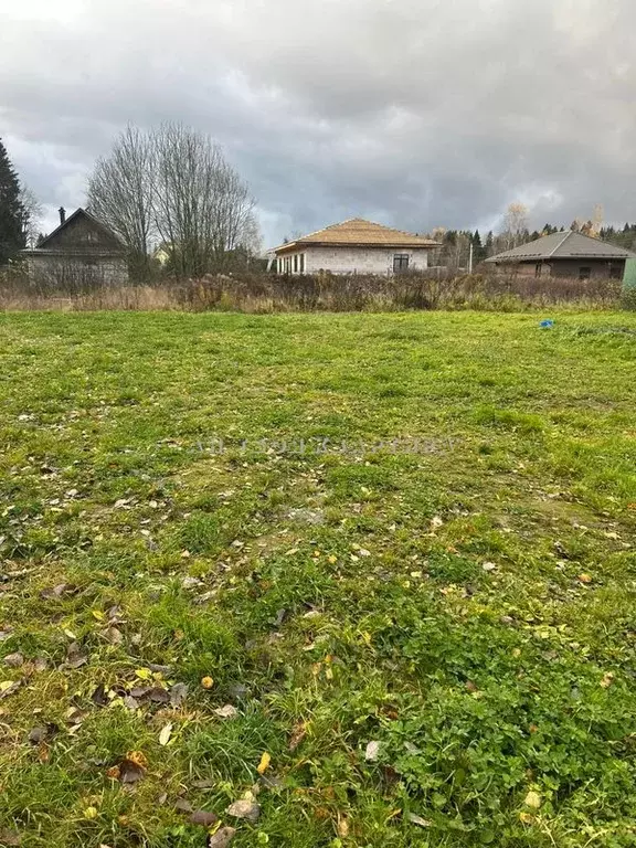 Продается участок в с. Локотня - Фото 1