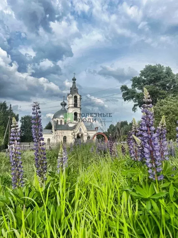 Участок в Кировская область, Кирово-Чепецкий район, Пасеговское с/пос, ... - Фото 1