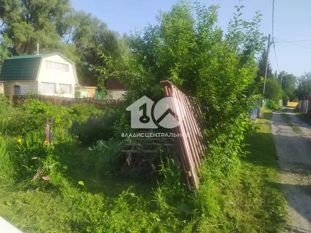 Дом в Новосибирская область, Новосибирск Парус СНТ, ул. Рябиновая (18 ... - Фото 1