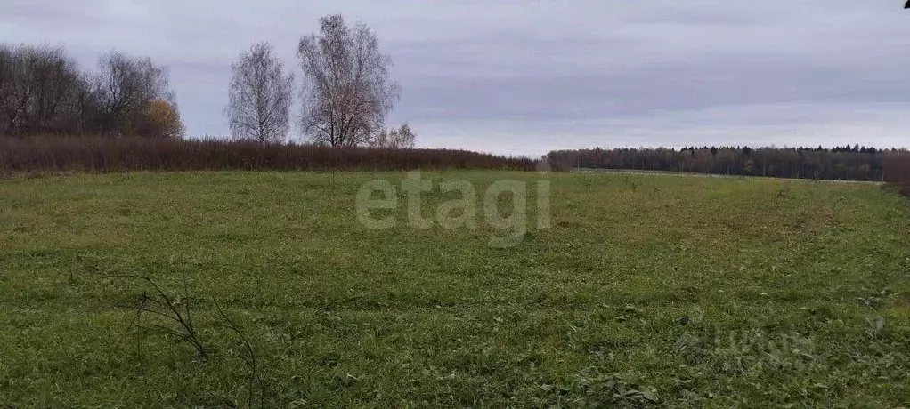 Участок в Костромская область, Костромской район, Никольское с/пос, д. ... - Фото 1