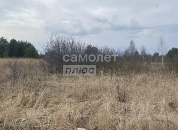 Участок в Липецкая область, Липецк Радужный кп,  (9.5 сот.) - Фото 2