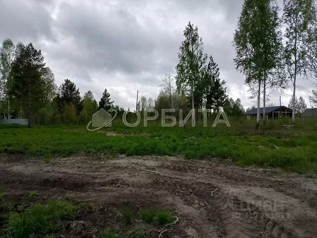 Участок в Тюменская область, Нижнетавдинский район, Здоровье-3 СТ ул. ... - Фото 1