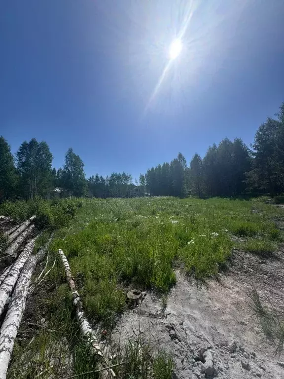 Участок в Томская область, Томский район, пос. Синий Утес, Крутоярский ... - Фото 1