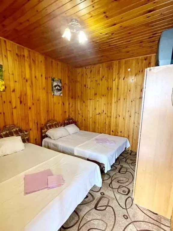 Комната Краснодарский край, Сочи ул. Мартовская, 12 (18.0 м) - Фото 0
