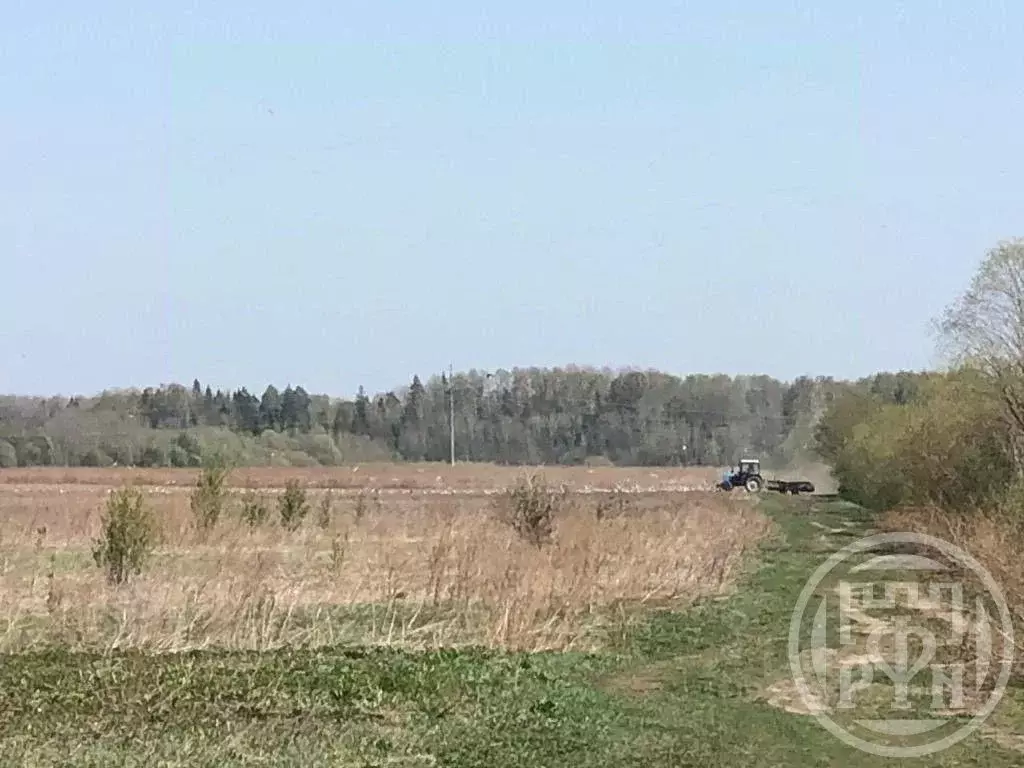 Участок в Ленинградская область, Кингисеппский район, Большелуцкое ... - Фото 1