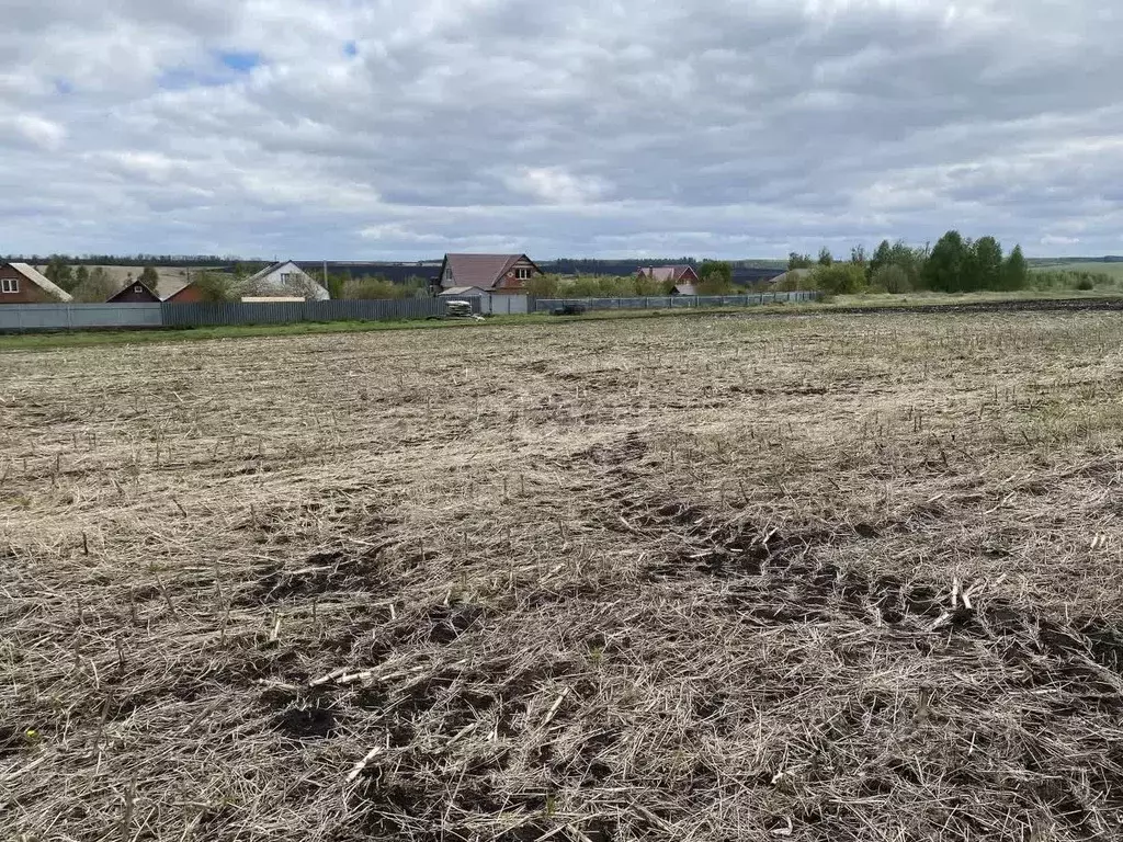 Участок в Мордовия, Саранск городской округ, с. Куликовка  (10.0 сот.) - Фото 0