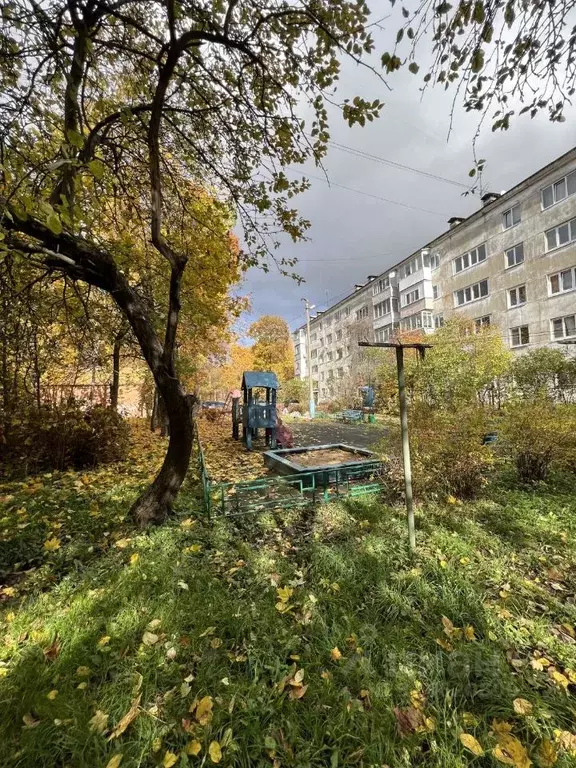 2-к кв. Московская область, Пушкино Мамонтовка мкр, ул. Горького, 3 ... - Фото 2