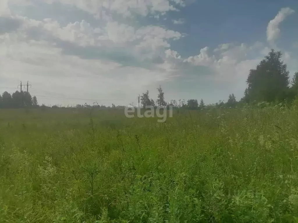 Участок в Башкортостан, Стерлитамакский район, д. Казадаевка, Любажи ... - Фото 1