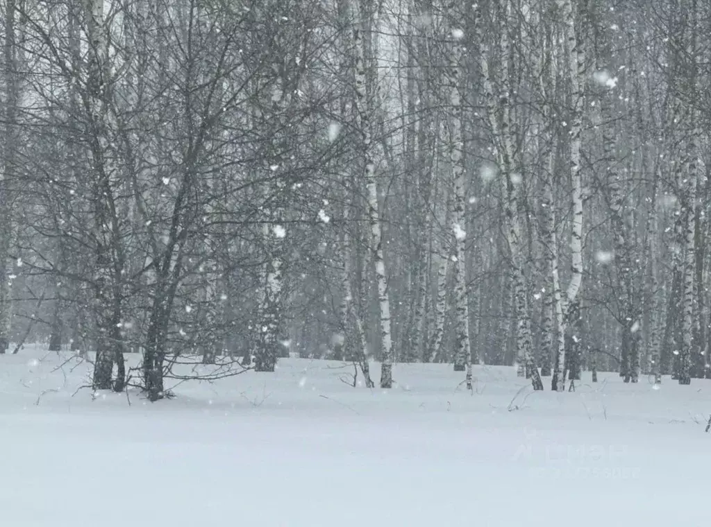 Участок в Московская область, Серпухов городской округ, д. Дашковка  ... - Фото 1