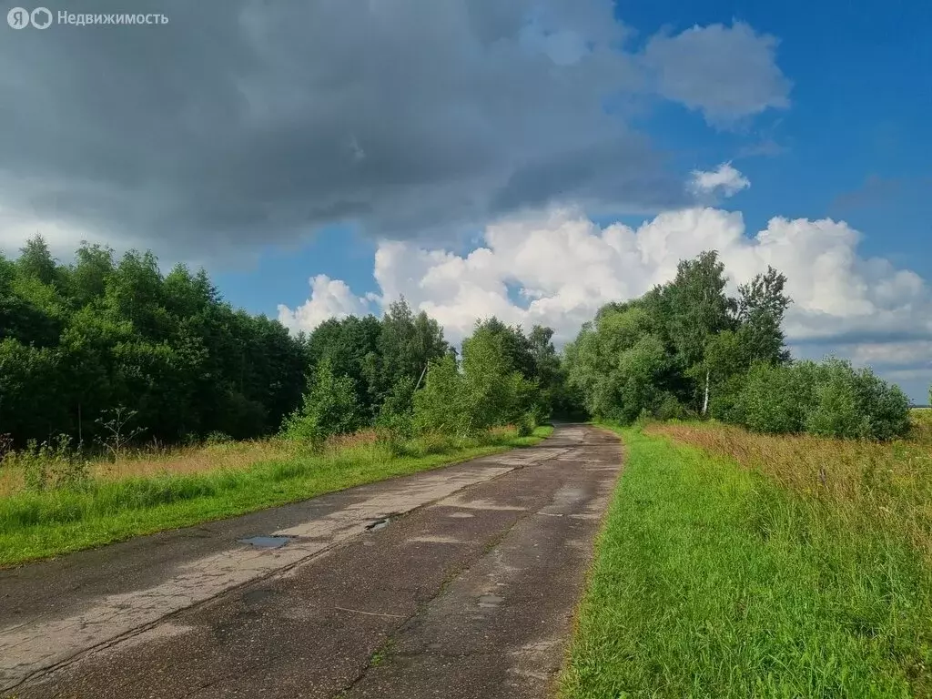 Участок в Калужская область, Жуковский муниципальный округ, сельское ... - Фото 1