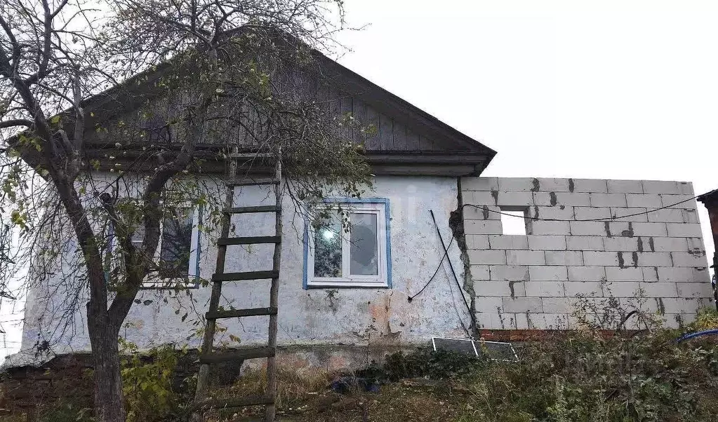 Дом в Челябинская область, Кыштым ул. Правды, 1А (53 м) - Фото 0