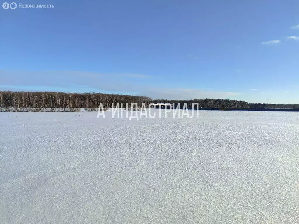 Участок в Московская область, городской округ Подольск, ЦКАД, 222-й ... - Фото 2