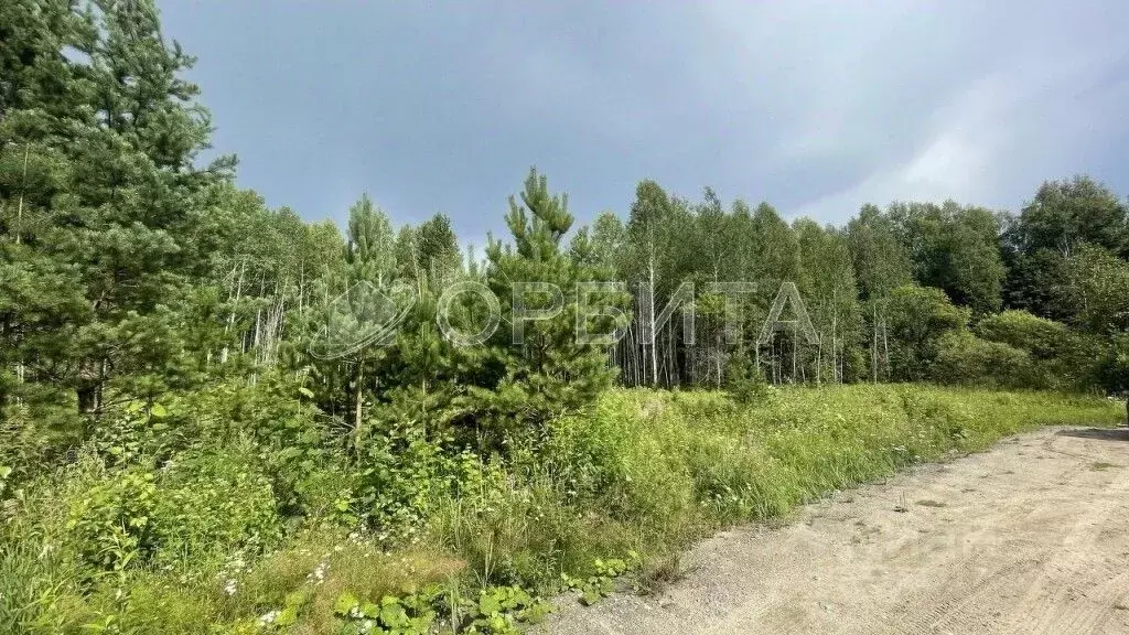 Участок в Тюменская область, Нижнетавдинский район, с. Тюнево  (10.0 ... - Фото 0