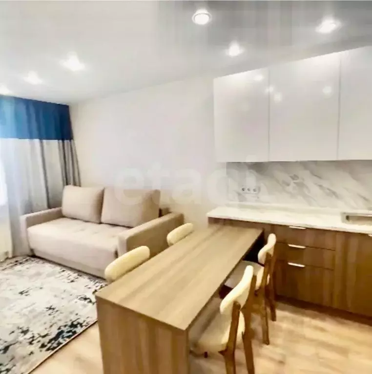 Студия Амурская область, Благовещенский район, с. Чигири Восточная ... - Фото 2