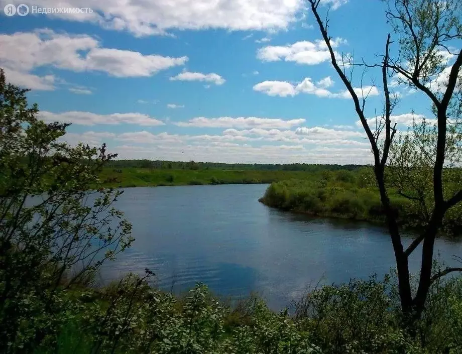 Участок в село Залучье, улица Ковшовой, 24 (119 м) - Фото 1