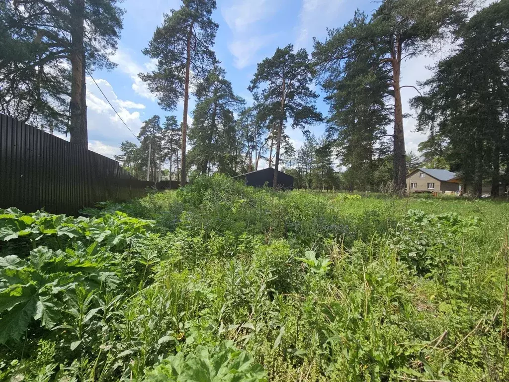 Участок в Московская область, Щелково городской округ, д. Первая ... - Фото 1