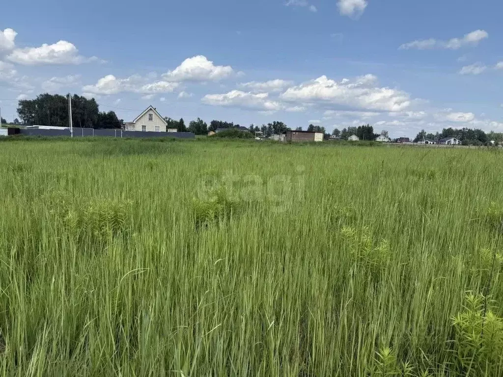 Участок в Московская область, Дмитровский муниципальный округ, д. ... - Фото 1