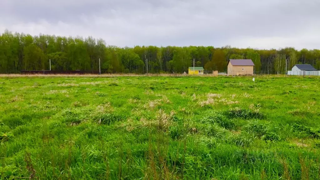 Участок в Московская область, Домодедово городской округ, д. Шишкино, ... - Фото 1