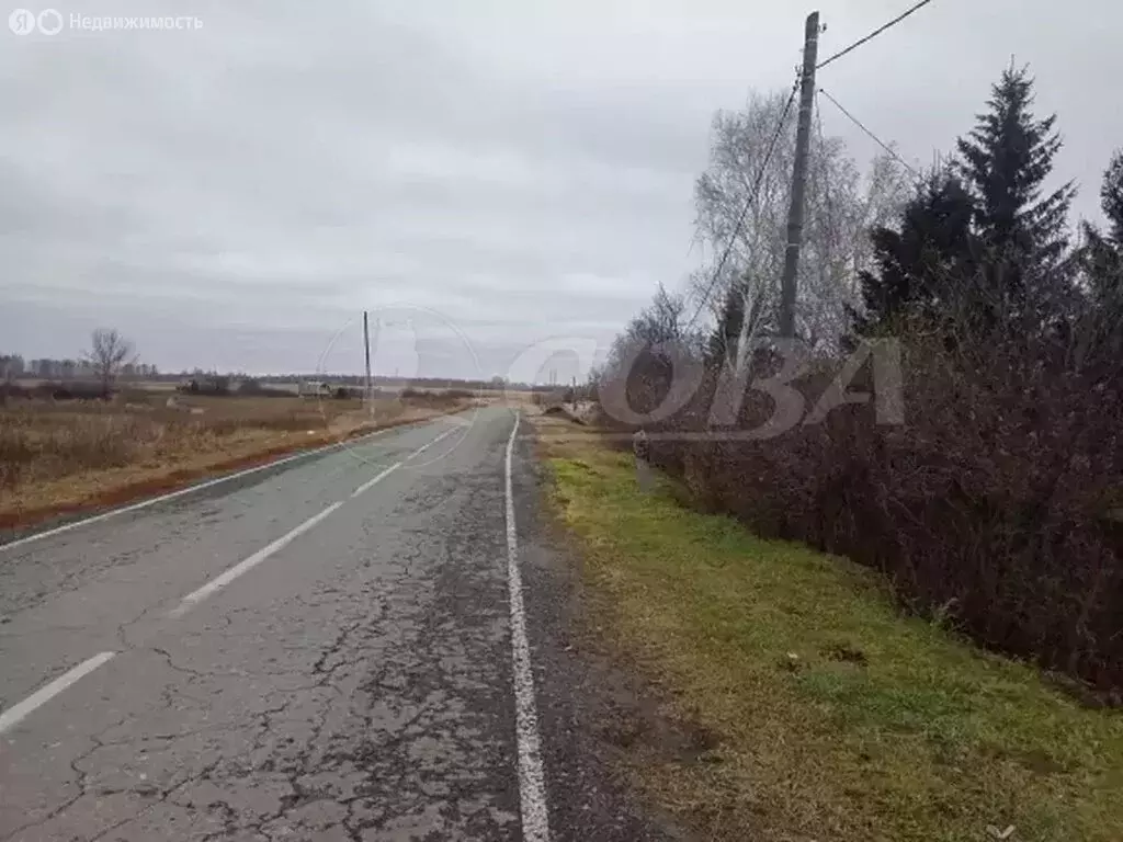 Участок в Ялуторовский район, деревня Соснина (13 м) - Фото 0