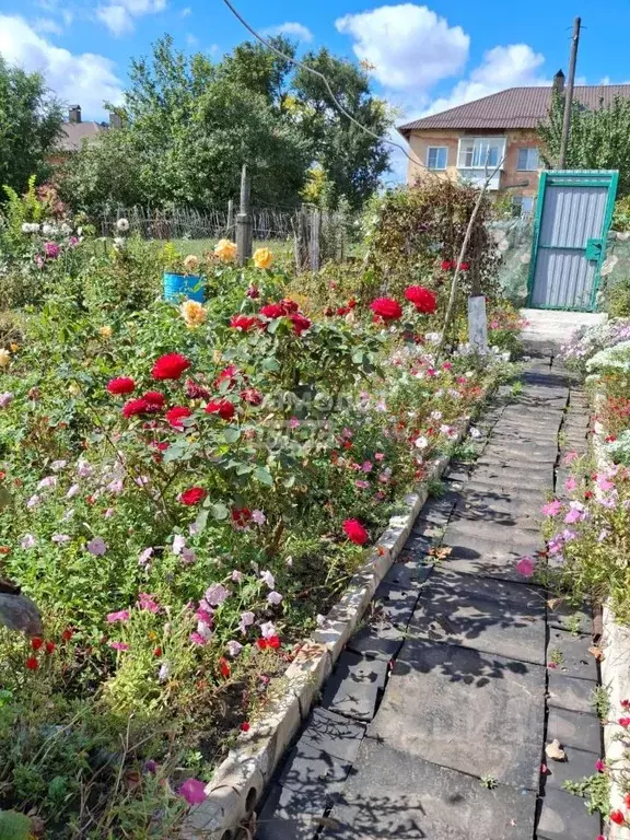 Дом в Курская область, Касторенский район, Поселок Новокасторное ... - Фото 2