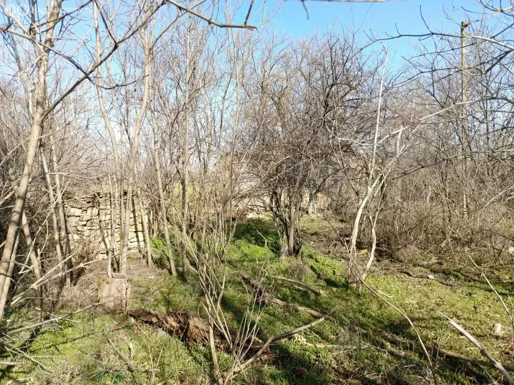 Участок в село Тугулук, Песчаная улица, 12 (27 м) - Фото 1