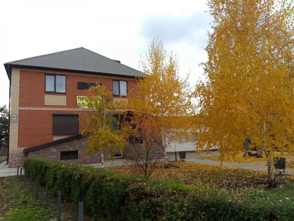 Помещение свободного назначения в Оренбургская область, Оренбург ... - Фото 1