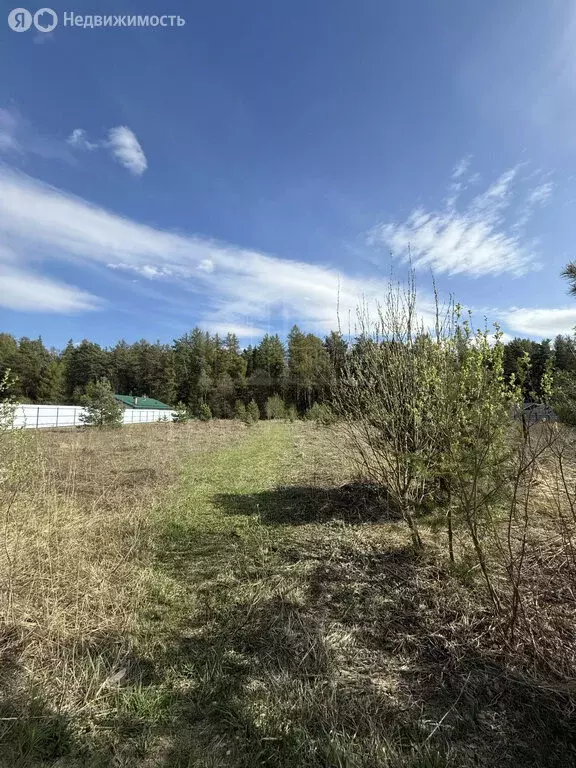 Участок в Московская область, городской округ Щёлково, деревня Вторая ... - Фото 0