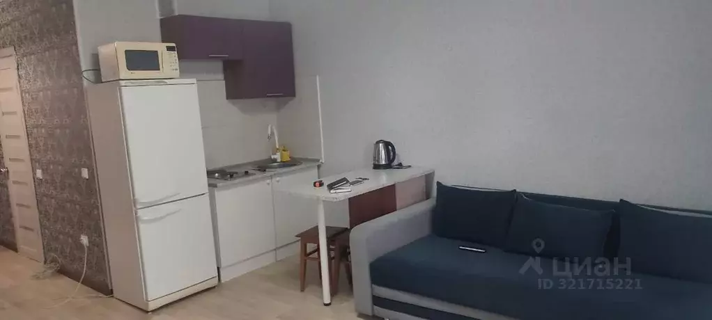 Студия Башкортостан, Уфа ул. Максима Горького, 46 (30.0 м) - Фото 2