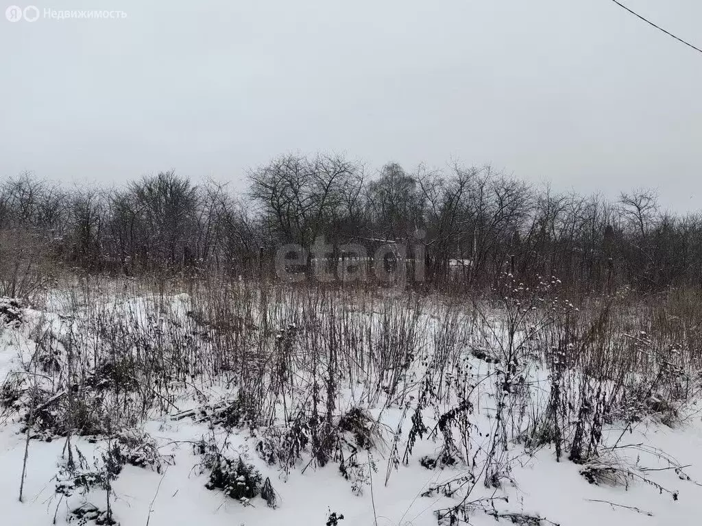 Участок в Московская область, городской округ Коломна, село ... - Фото 1