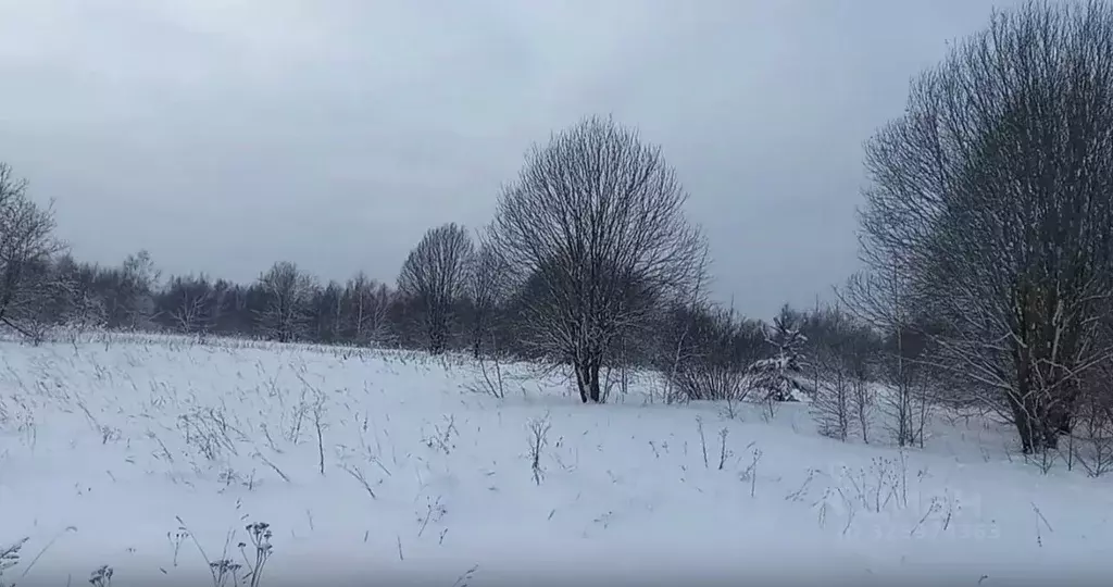 Участок в Московская область, Дмитровский муниципальный округ, д. ... - Фото 1