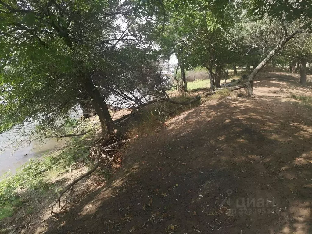 Участок в Астраханская область, Камызякский район, с. Караульное ул. ... - Фото 2