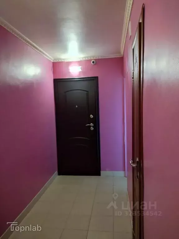 Комната Санкт-Петербург ул. Дыбенко, 9К1 (31.1 м) - Фото 1