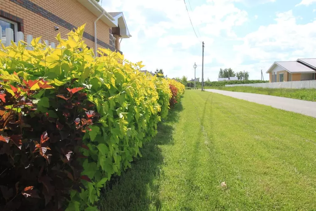 Участок в Омская область, Омский район, с. Красноярка ул. 2-я ... - Фото 2