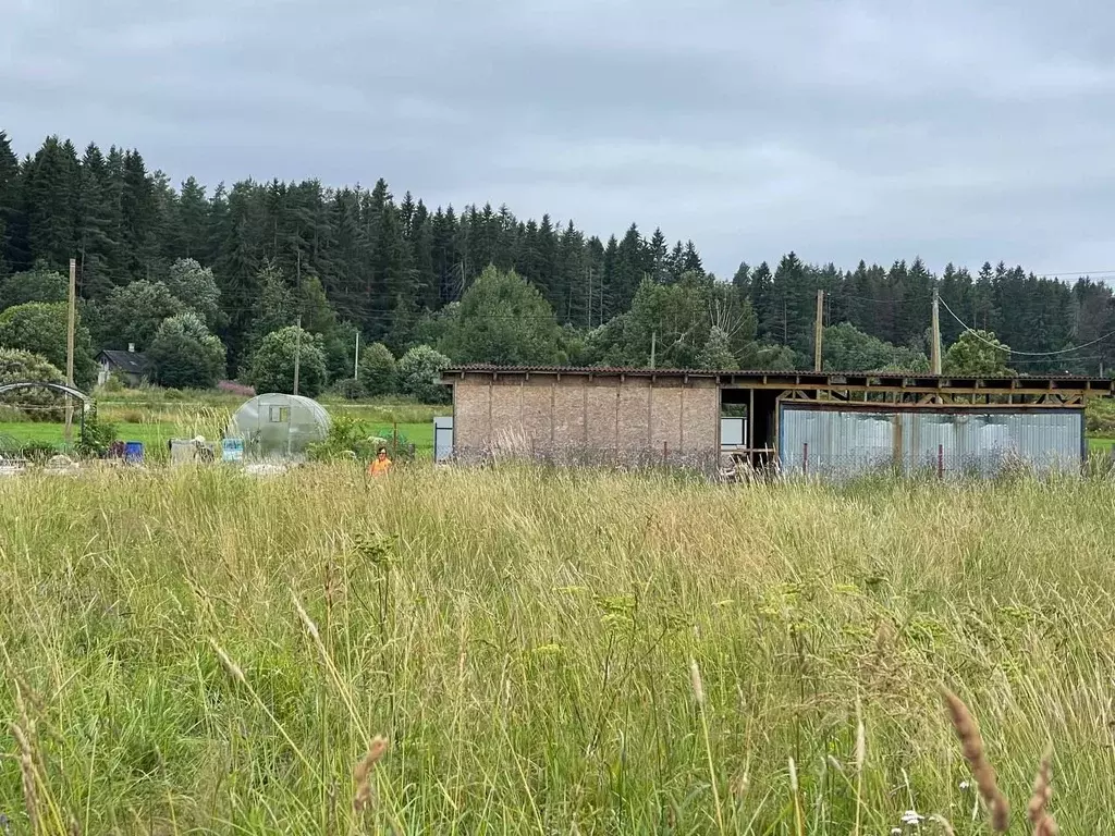 Участок в Ленинградская область, Приозерский район, Мельниковское ... - Фото 1