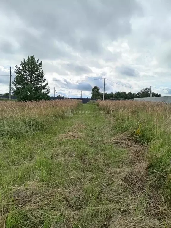 Участок в Владимирская область, Ковровский район, Новосельское с/пос, ... - Фото 2